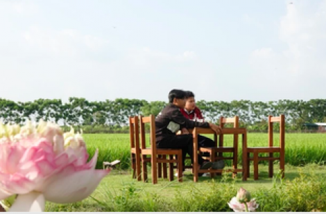 Mở quán cà phê trên đất trồng lúa để khách ‘check in’, có phạm luật?