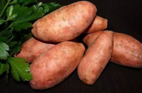 Một loại củ được xem là “mỏ vàng” dinh dưỡng và được bác sĩ khuyên dùng