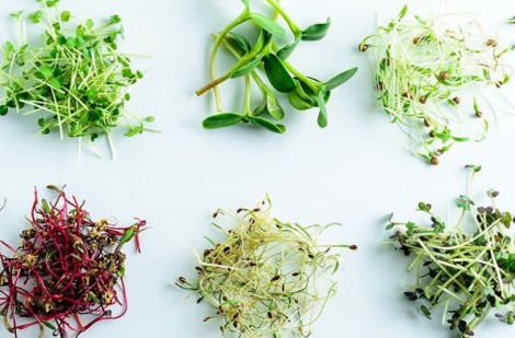 Một số loại thực phẩm nên tránh trong kỳ nghỉ Tết