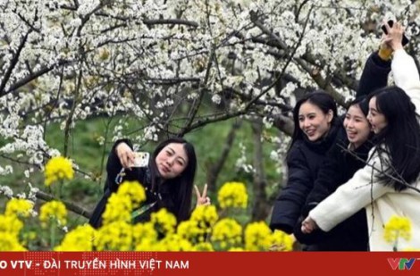 Ngắm hoa xuân – Động lực mới của du lịch Trung Quốc