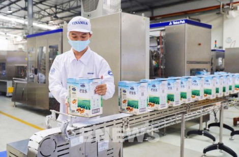 Ngành sữa Việt Nam còn nhiều dư địa phát triển