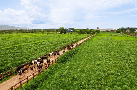 Người dân / nông dân hưởng lợi gì khi doanh nghiệp làm “Net Zero”