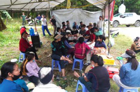 Người dân dựng rạp, tập trung phản đối trại lợn gây mùi hôi thối