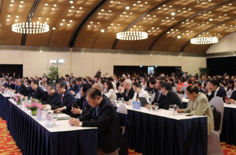 Nhiều ý kiến tâm huyết về vấn đề phát huy nguồn lực trí thức kiều bào