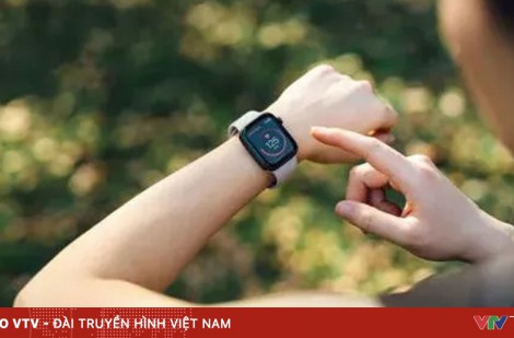 Nhịp tim ở mức nào là bình thường?