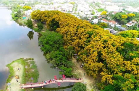 Những lễ hội độc đáo: Thổn thức cùng mùa hoa sưa