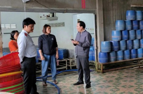 Phát hiện, xử phạt 3 cơ sở sản xuất giá đỗ sai phạm tại Đắk Lắk