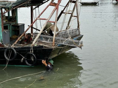 Quảng Ninh: Yêu cầu xử lý nghiêm tàu cá khai thác thủy sản bất hợp pháp