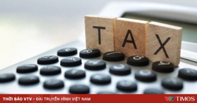 Quy trình để doanh nghiệp, người dân được hỗ trợ thuế sau bão lũ