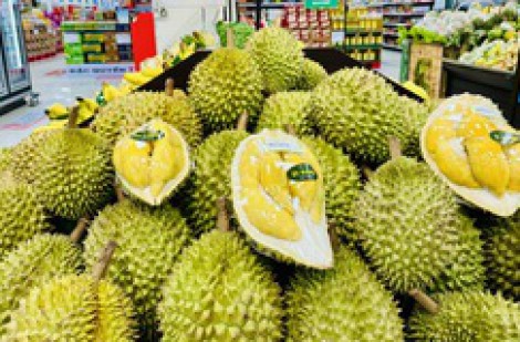 Sầu riêng tăng vọt, xuất khẩu rau quả sẽ lập kỳ tích mới