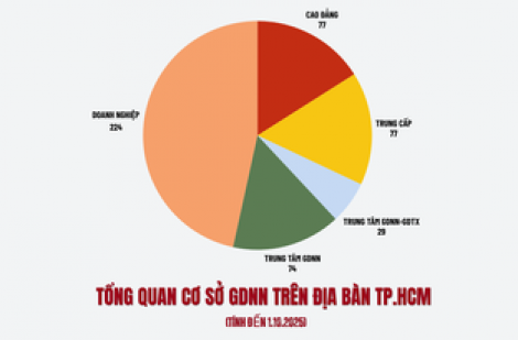 Sau sáp nhập, TP.HCM có bao nhiêu trường trung cấp, cao đẳng?