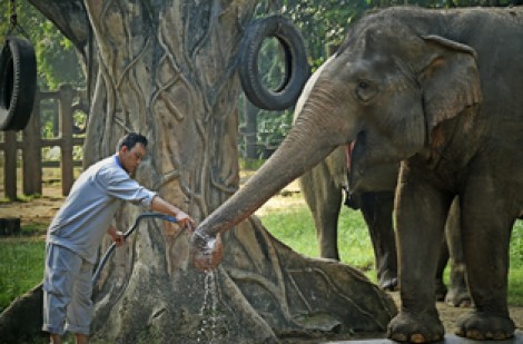 Sawaco và Báo Phụ nữ TP.HCM tổ chức triển lãm ảnh 'Nét đẹp ngành cấp nước TP.HCM'