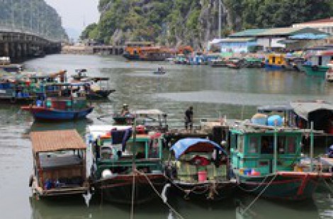 Siêu bão số 3 đổ bộ vào miền Bắc: Các địa phương khẩn trương ứng phó