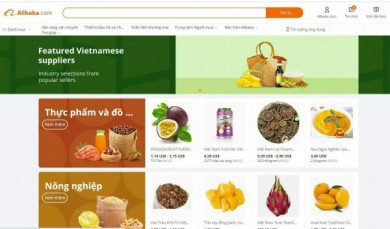Số lượng người mua sản phẩm Việt Nam trên sàn Alibaba.com tăng 55%