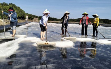 TP Hồ Chí Minh đẩy mạnh phát triển Du lịch xanh