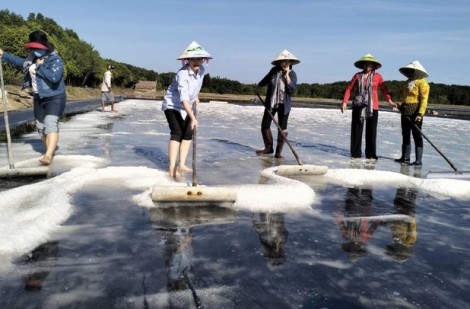TP Hồ Chí Minh đẩy mạnh phát triển Du lịch xanh