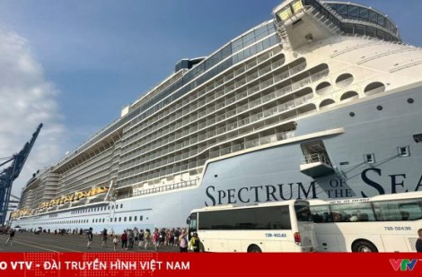 TP Hồ Chí Minh đề xuất cho tàu khách quốc tế cập cảng Cái Mép – Thị Vải