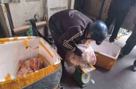 TP.HCM: Phát hiện gần 1,3 tấn thực phẩm vú heo, cánh gà... không rõ nguồn gốc
