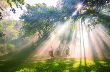 Thi ảnh nghệ thuật ‘Tuệ giác Phật giáo: Nhân phẩm và hòa bình’