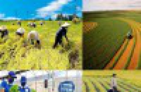 Thử nghiệm phát triển kinh tế tuần hoàn, doanh nghiệp được hưởng ưu đãi gì?