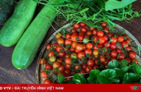 Thú vị món ăn thực dưỡng từ vườn nhà