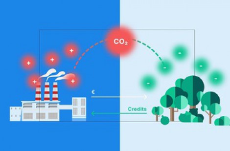 Tín chỉ carbon xe điện: Giải pháp hiệu quả giảm ô nhiễm môi trường