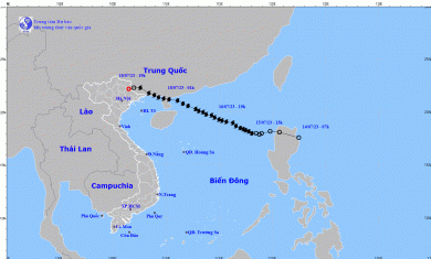 Tin tức thời tiết hôm nay 19.7.2023: Việt Nam có thể đón ATNĐ hoặc cơn bão số 2