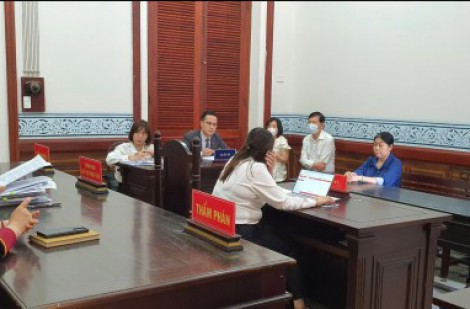 Tòa phúc thẩm y án 'buộc xin lỗi ông David Dương và Công ty VWS'