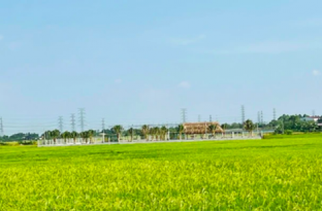 Từ ngày 1.8, tặng cho và mua bán đất trồng lúa như thế nào?