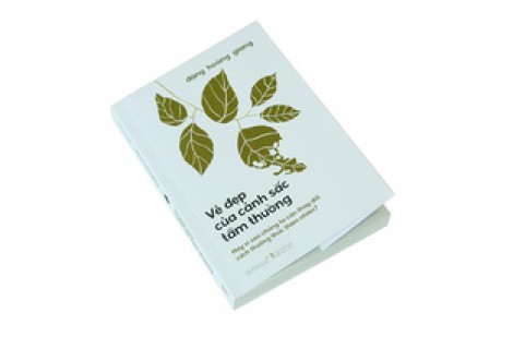 Vì sao nên thay đổi cách thưởng thức thiên nhiên?