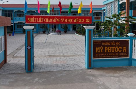 Vĩnh Long: 2 học sinh bị rắn cắn tại thư viện trường tiểu học
