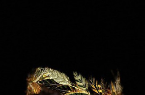 Vòng nguyệt quế mạ vàng của chung kết Đường lên đỉnh Olympia 2024 có gì đặc biệt?