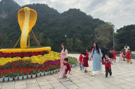 Vườn hoa xuân tại danh thắng Ngũ Hành Sơn mở cửa đón khách