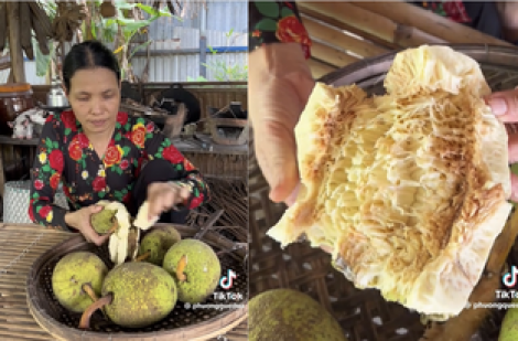 Ăn trái sa kê chín thành 'trend' mạng xã hội: Vị ra sao mà nhiều người tò mò?