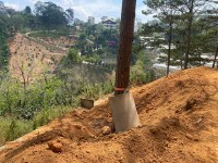 Đà Lạt: Khắc phục ngay việc vùi lấp rừng thông ở điểm du lịch Núi Hoa