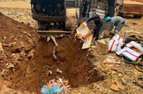 Đắk Nông: Tiêu hủy 1 tấn thực phẩm đông lạnh không nguồn gốc