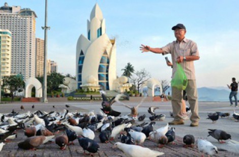 Đàn bồ câu hơn 500 con tại Quảng trường 2.4 Nha Trang thu hút du khách