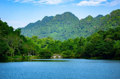 Đến Cúc Phương - Chạm vào nhịp thở của thiên nhiên