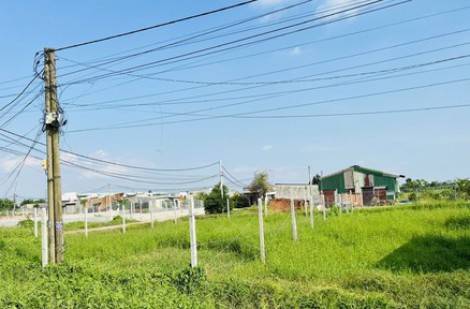 Đến năm 2030, TP.HCM có 86.012 ha đất nông nghiệp