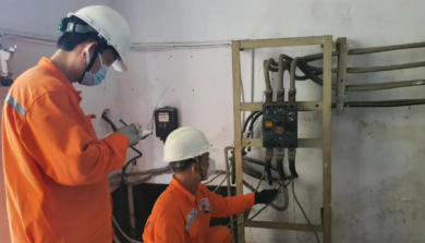 Điện lực TP. Hồ Chí Minh: Đảm bảo không để gián đoạn cung cấp điện dịp lễ, tết năm 2024