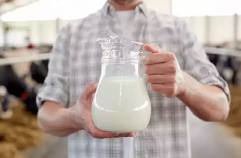 Đun sôi sữa quá nhiều sẽ làm giảm chất dinh dưỡng, đó có phải là sự thật?